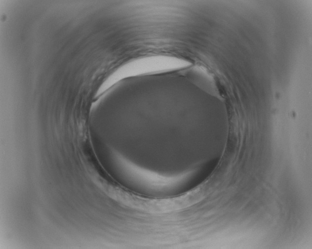 X0000072990031200608111818