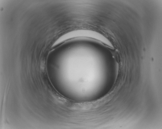 X0000072990033200608111818