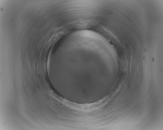 X0000072990035200608111818