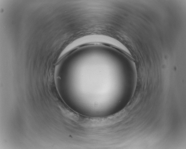 X0000072990037200608111818