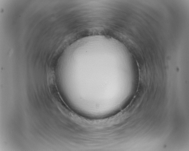 X0000072990038200608111818