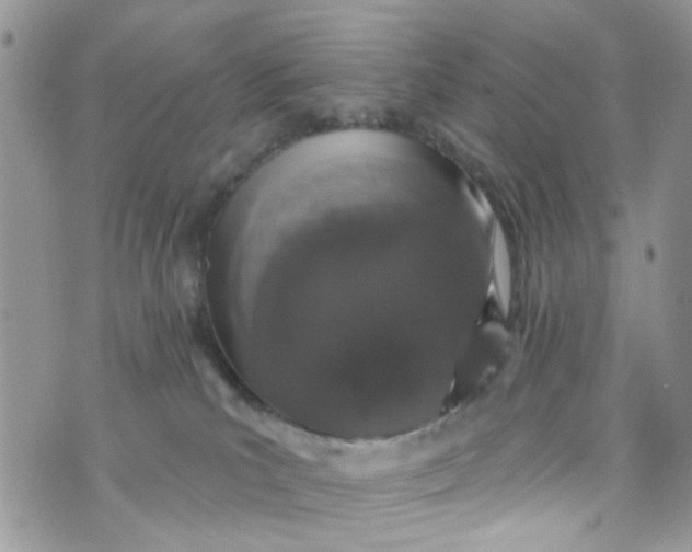 X0000072990039200608111818