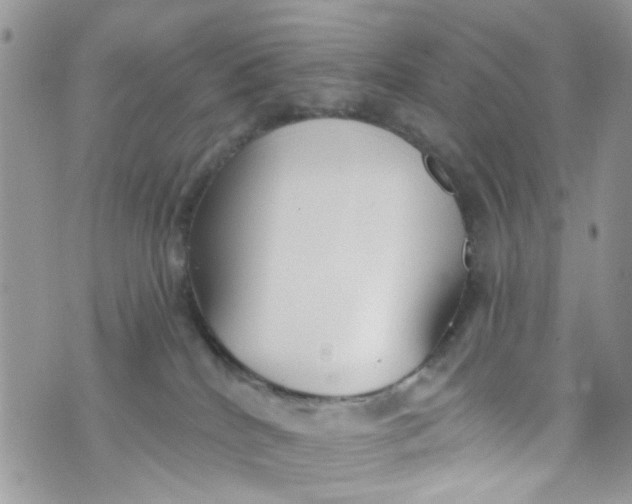 X0000072990040200608111818