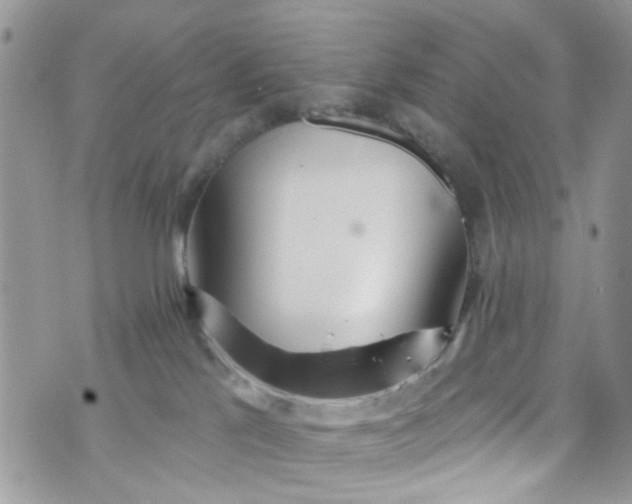 X0000072990041200608111818