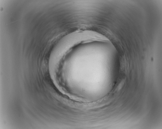 X0000072990043200608111818