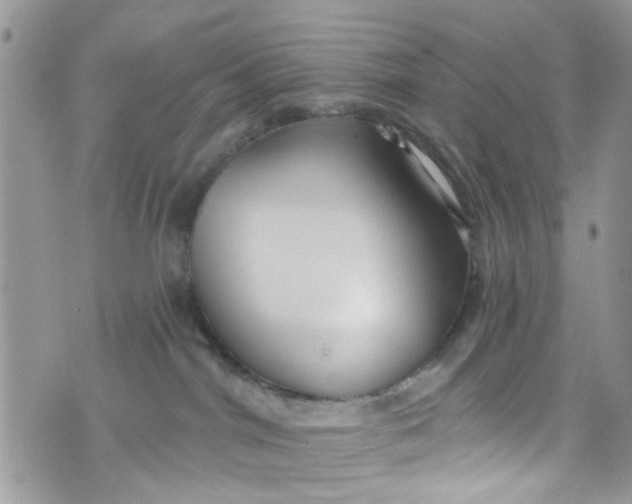 X0000072990044200608111818