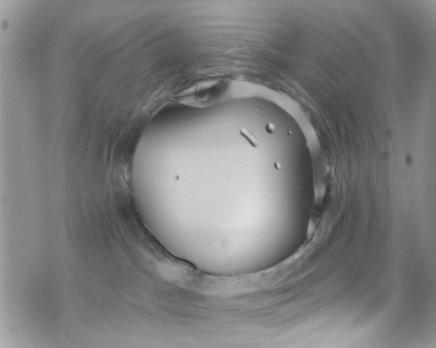 X0000072990045200608111818