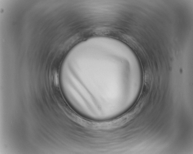 X0000072990046200608111818