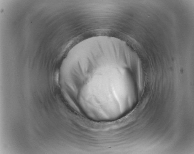 X0000072990047200608111818