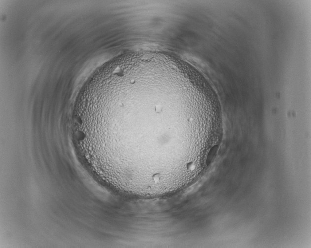 X0000072990049200608111817