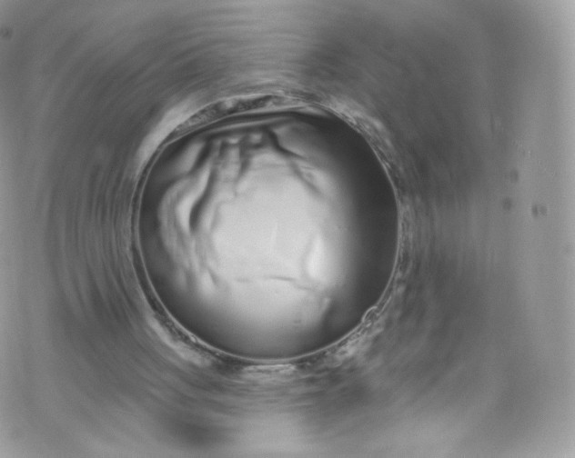 X0000072990051200608111817