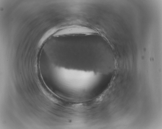 X0000072990054200608111817