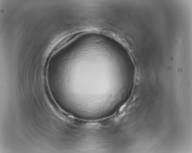 X0000072990055200608111817