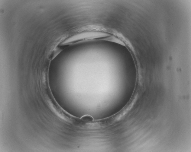 X0000072990057200608111817