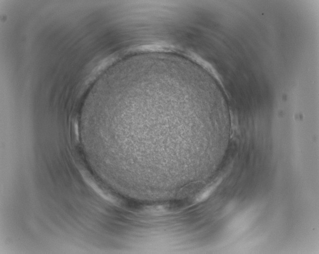 X0000072990061200608111817