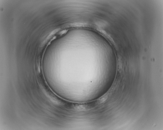 X0000072990062200608111817