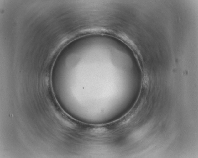 X0000072990063200608111817