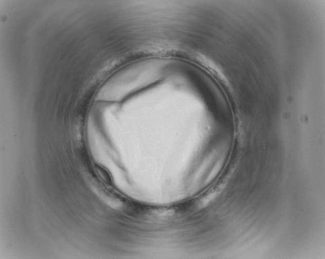 X0000072990065200608111817