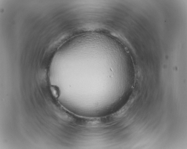 X0000072990066200608111817