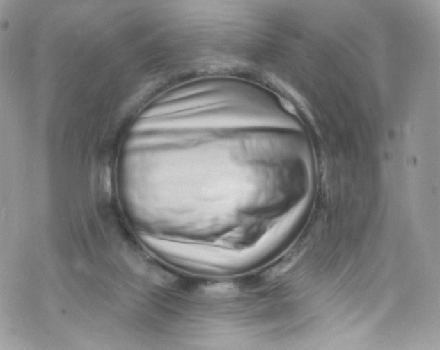 X0000072990067200608111817