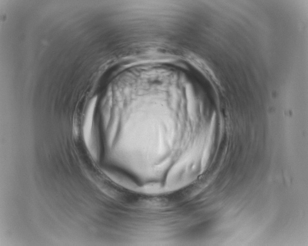 X0000072990069200608111817