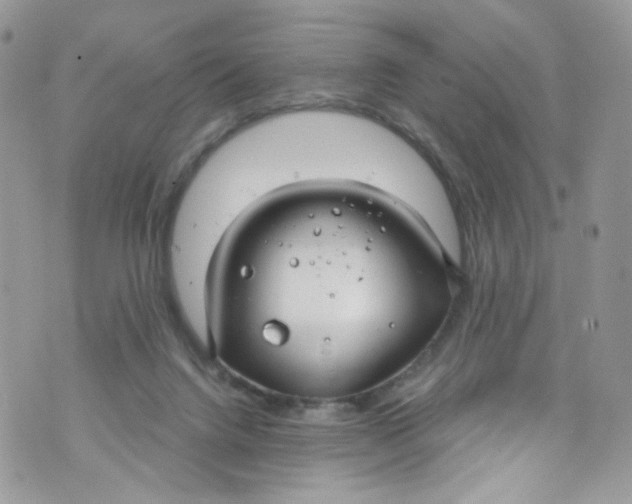 X0000072990072200608111817