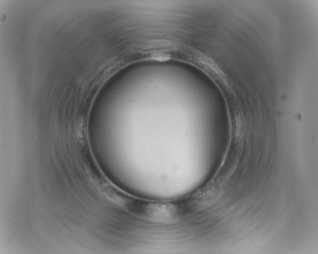 X0000072990073200608111817