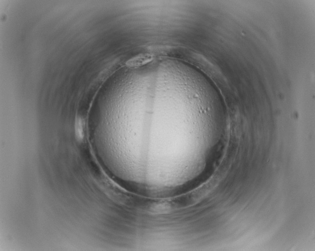 X0000072990075200608111817