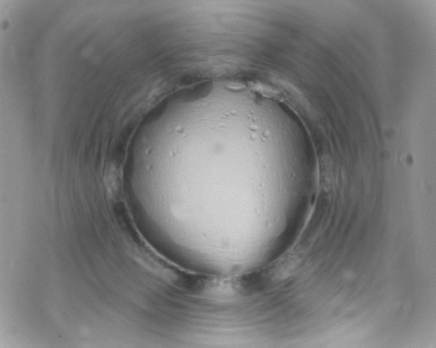 X0000072990077200608111817