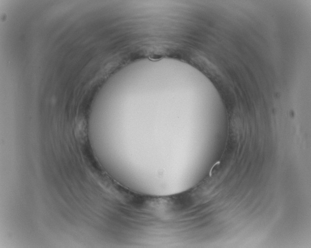 X0000072990079200608111817