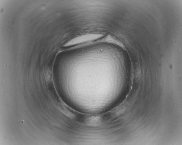 X0000072990081200608111818