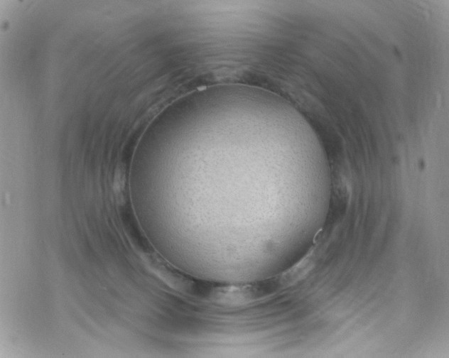 X0000072990082200608111818