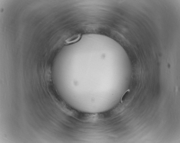 X0000072990083200608111818