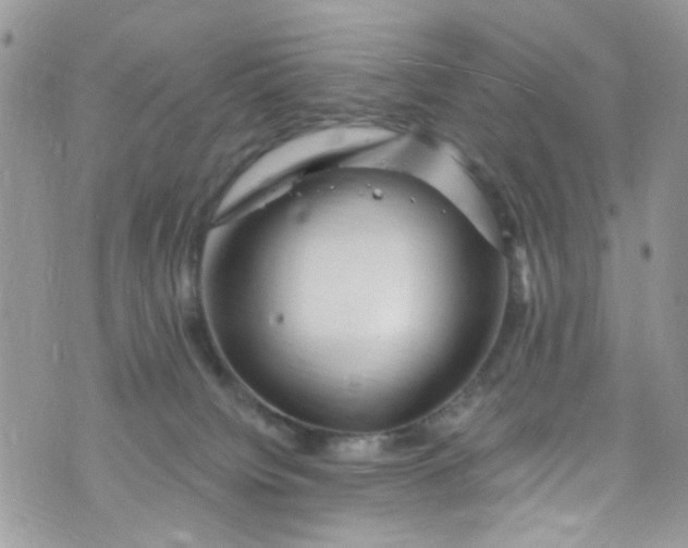 X0000072990084200608111818