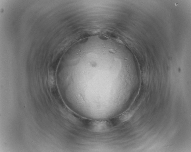 X0000072990085200608111818