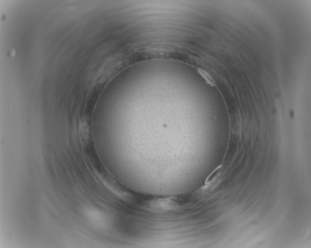 X0000072990086200608111818