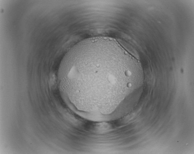 X0000072990087200608111818