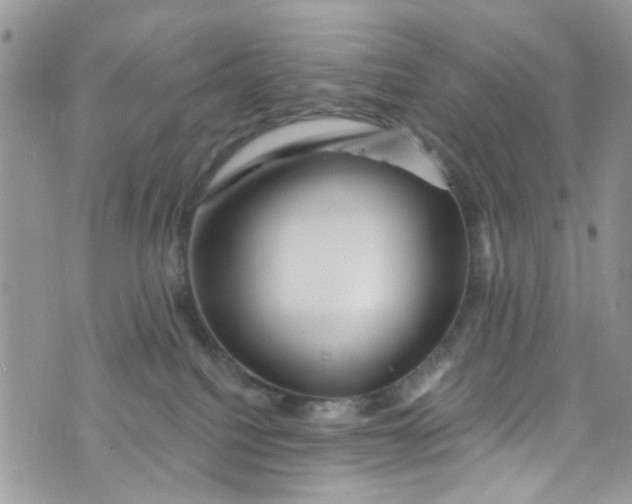 X0000072990088200608111818