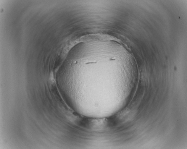 X0000072990089200608111818