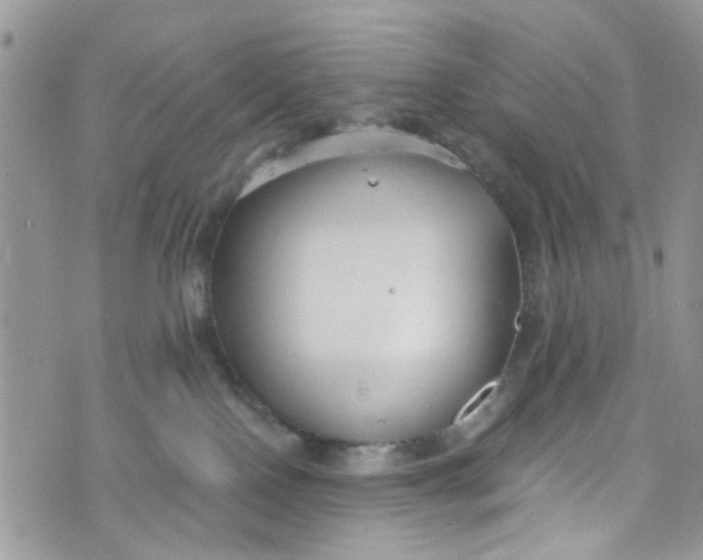 X0000072990090200608111818