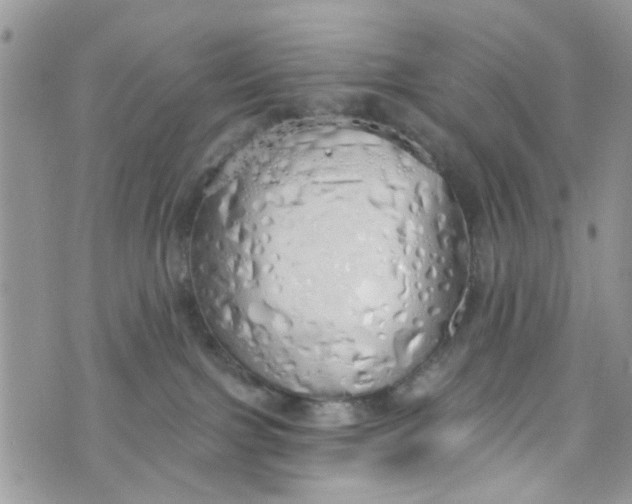 X0000072990091200608111818