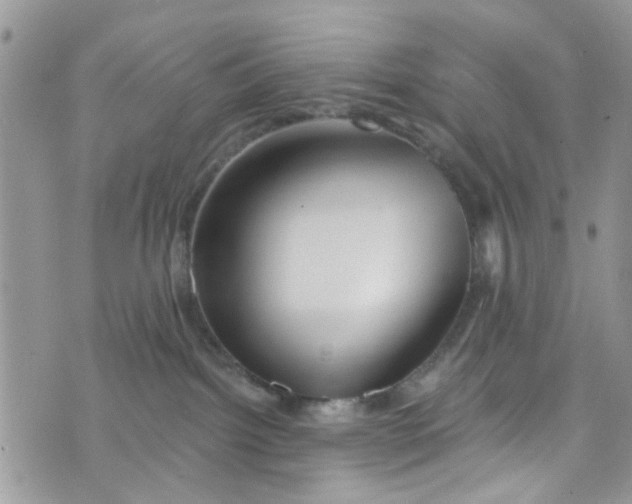 X0000072990092200608111818