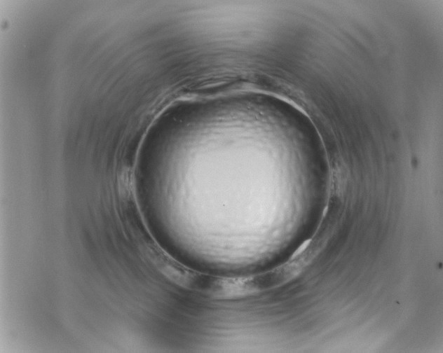 X0000072990093200608111818