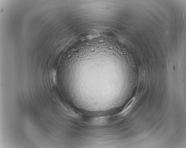 X0000072990094200608111818