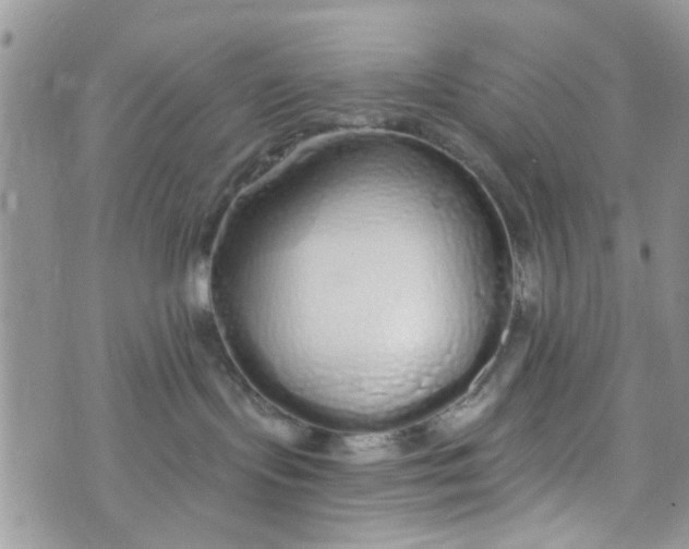 X0000072990095200608111818