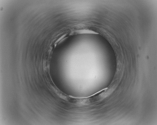 X0000072990096200608111818