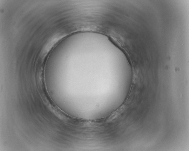 X0000072990098200608111817