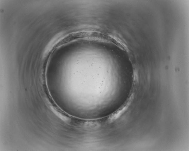 X0000072990101200608111817