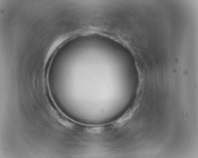 X0000072990102200608111817