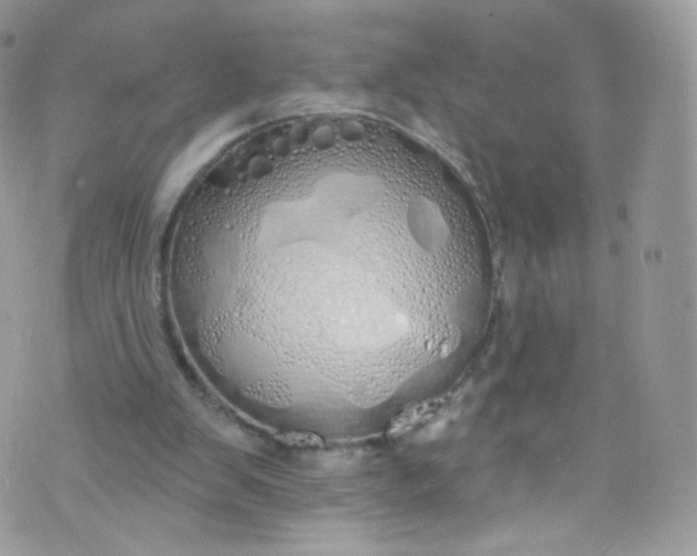 X0000072990103200608111817